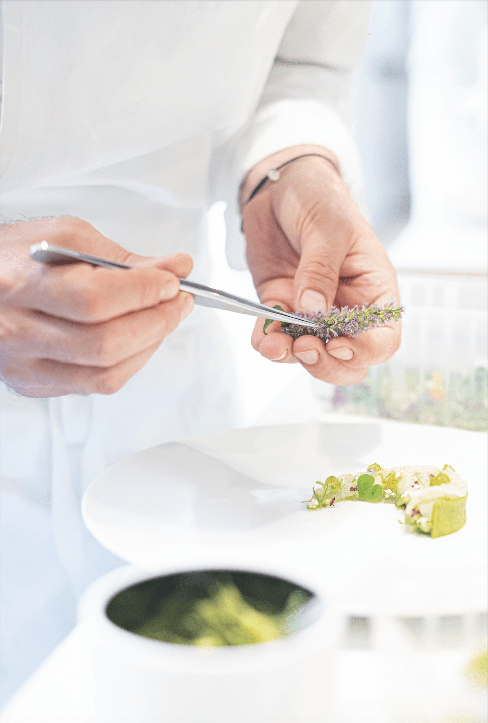 geste-cuisine-herbe geste-cuisine-herbe